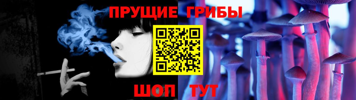 Сафоново  Галлюциногенные грибы Psilocybine cubensis  Вход с VPN 